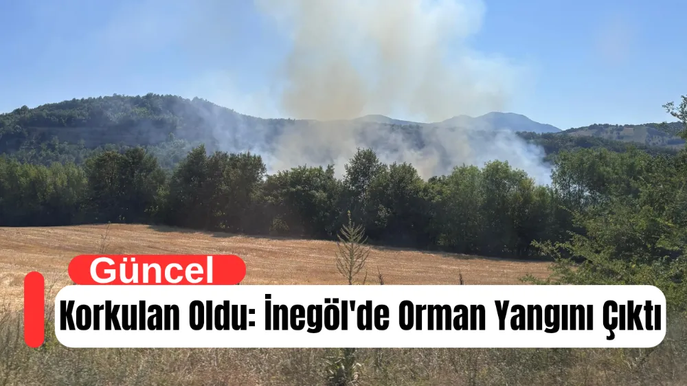 Korkulan Oldu: İnegöl