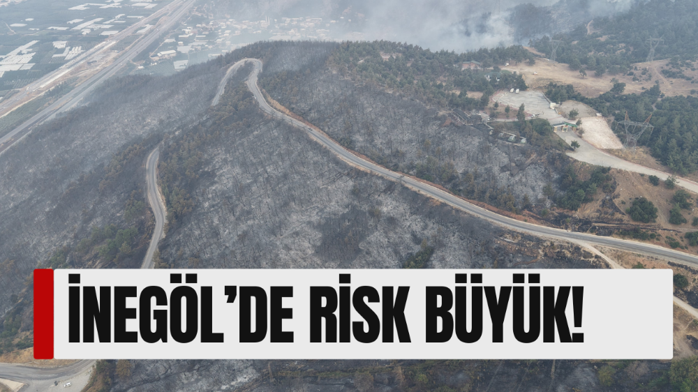 Bursa
