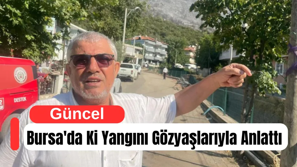 Bursa
