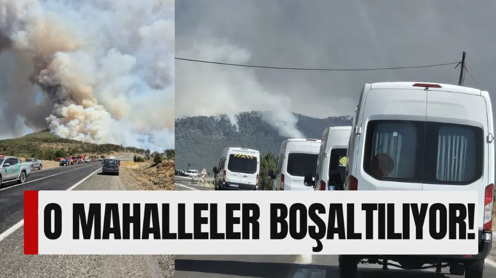 Bursa