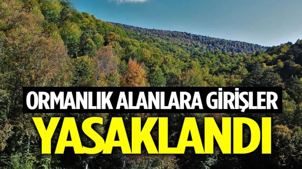 İnegöl