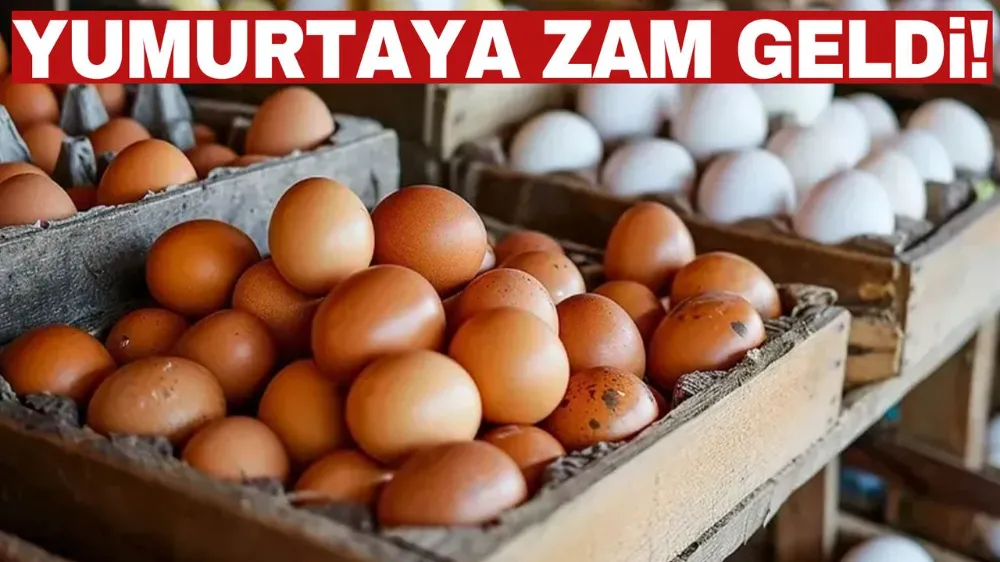 Yumurta Fiyatlarına Zam Geldi!