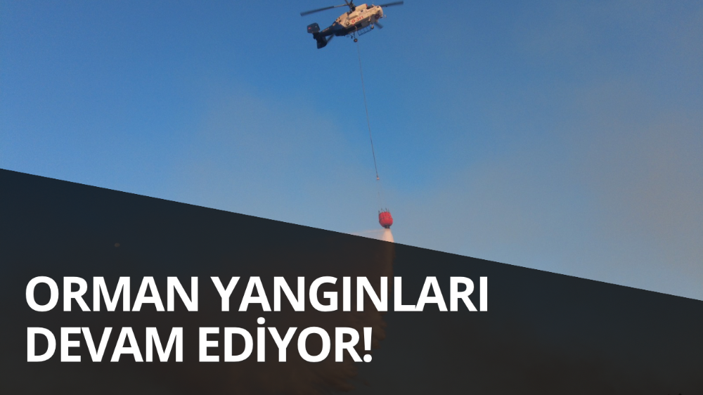 Orman yangınına havadan müdahale başladı