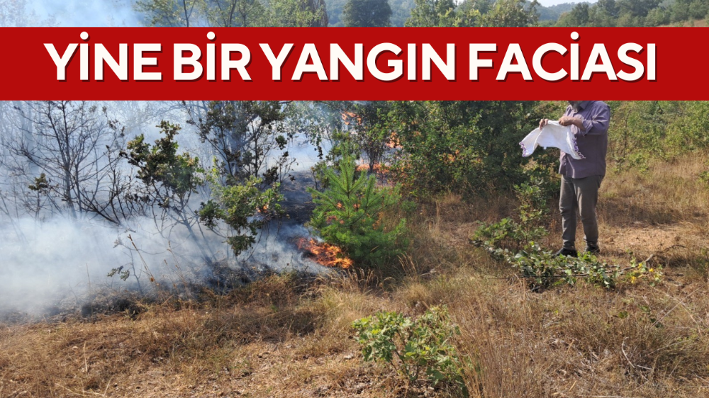 Bilecik