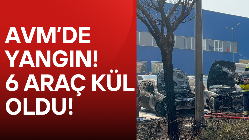 Bursa