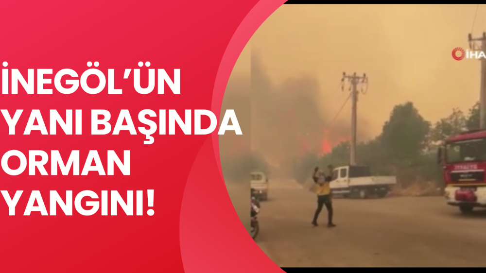 İznik