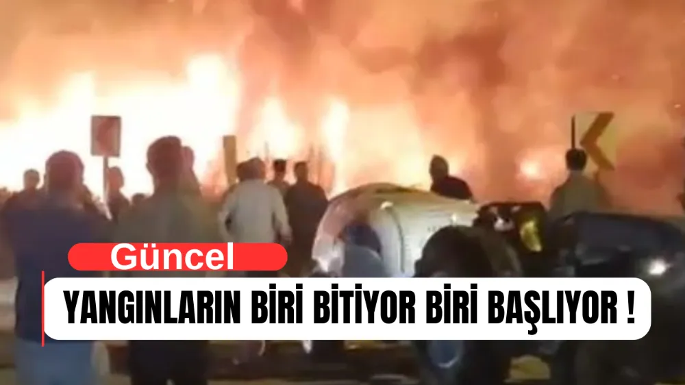 Bursa’da Peş Peşe Yangınlar: Son Olarak İznik’te Meyve Bahçesi Yandı