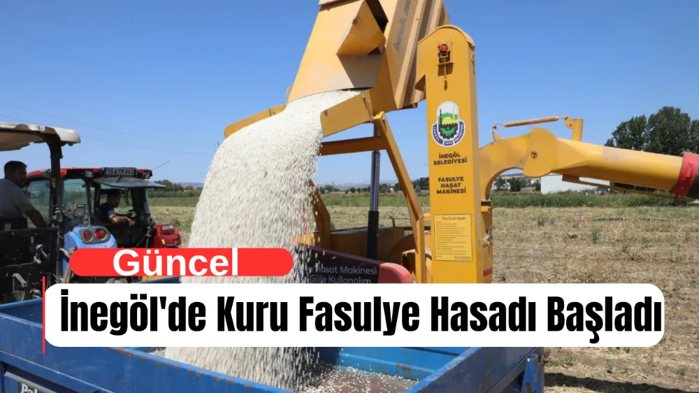 Kuru Fasulye Hasat Makinesi İnegöl Tarlalarında Mesaiye Başladı