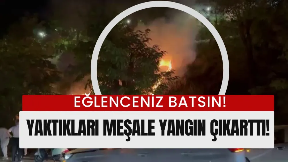 Eğlence için yakılan meşale yangın çıkardı