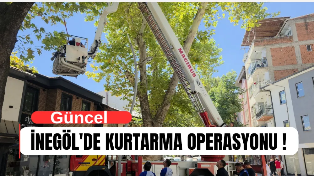 İnegöl