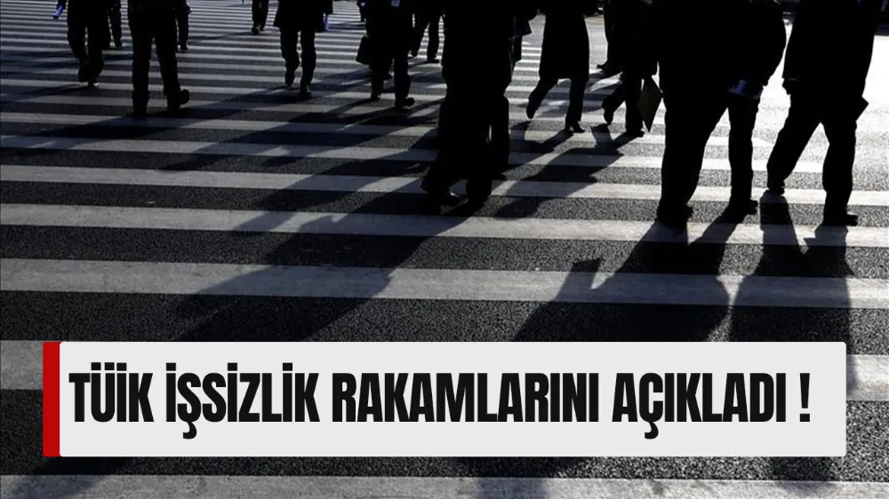 Türkiye’de İşsizlik Oranı Temmuz’da Yüzde 8’e Geriledi