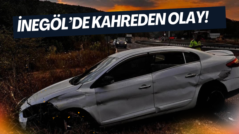 Tarlaya uçan otomobildeki 5 kişi yaralandı