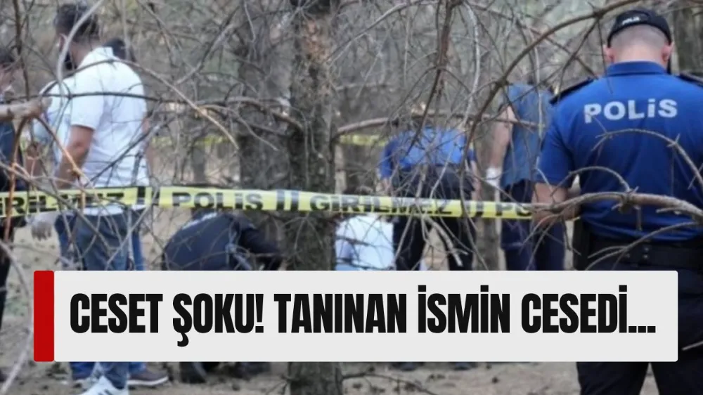 Ormanda bulunan çürümüş ceset firari doktora ait çıktı! Bursa detayı...
