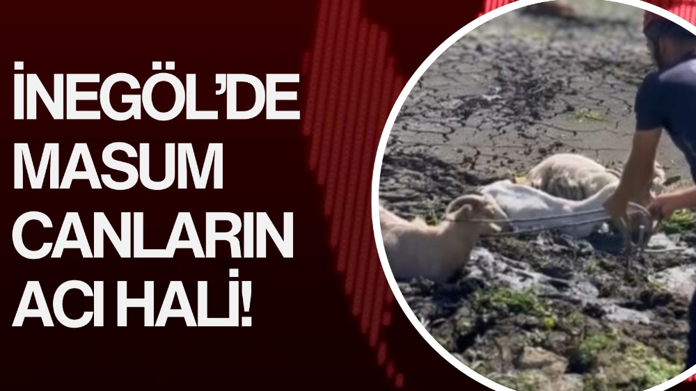 İnegöl