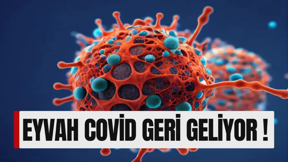 Eyvah! Covid-19 Yeniden Yükselişte