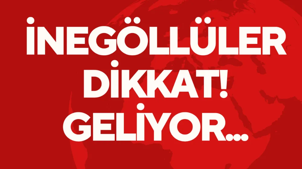 İnegöl dahil tüm Bursa