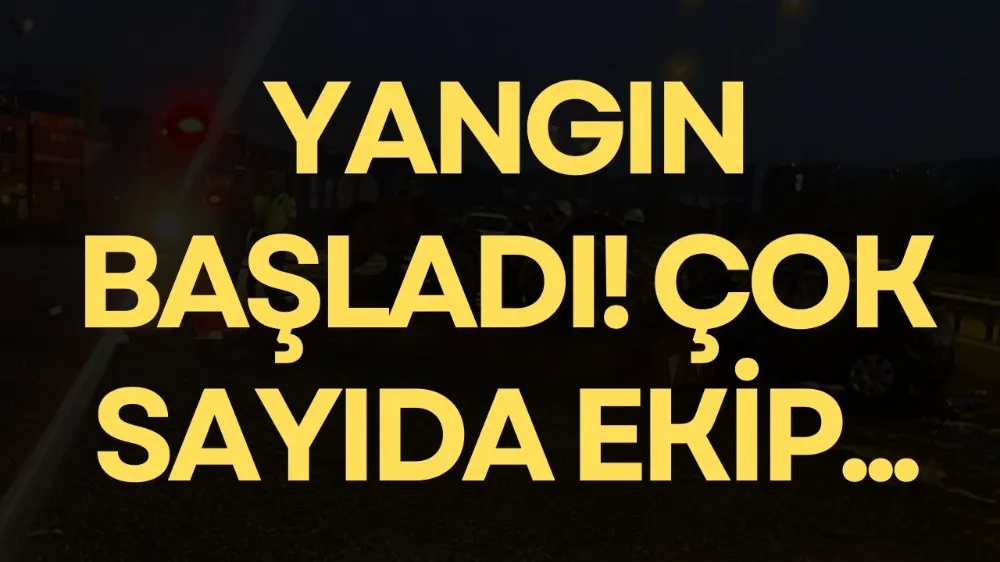 İznik’te sazlık yangını!
