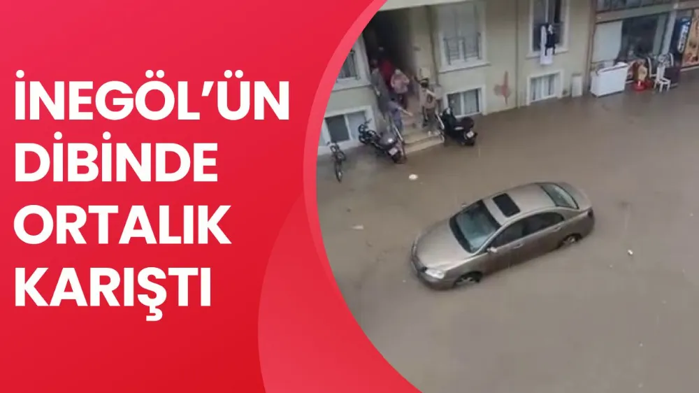 Bursa
