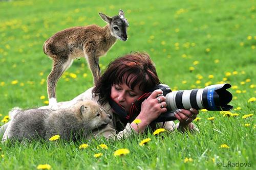 FOTOĞRAFÇI OLMAK İSTEYEN HAYVANLAR