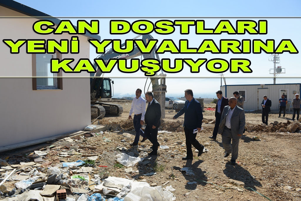 CAN DOSTLARI YENİ YUVALARINA KAVUŞUYOR