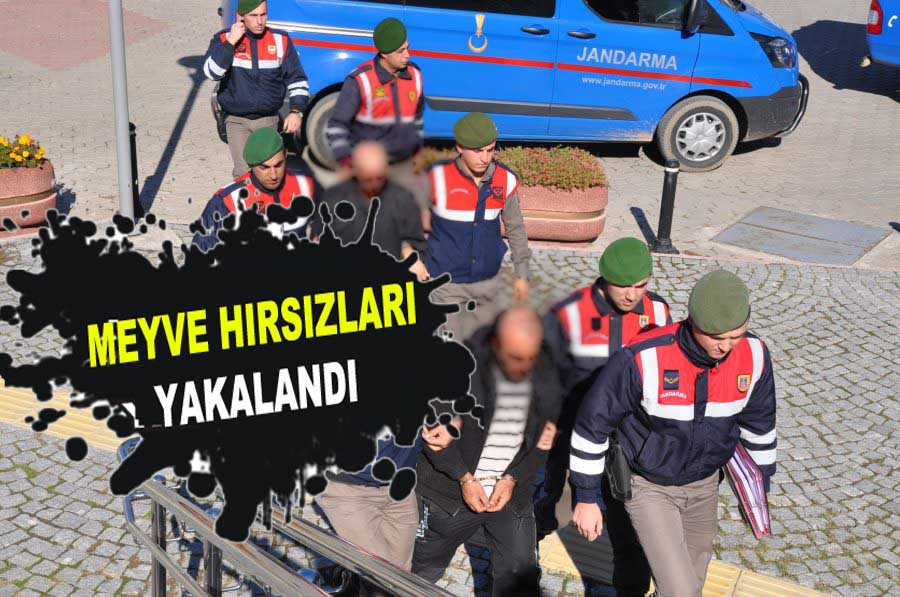 2 TON MEYVE ÇALAN HIRSIZLAR YAKALANDI