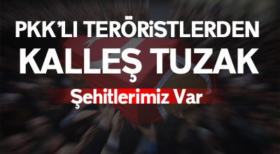 HAKKARİ