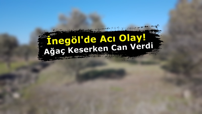 İnegöl