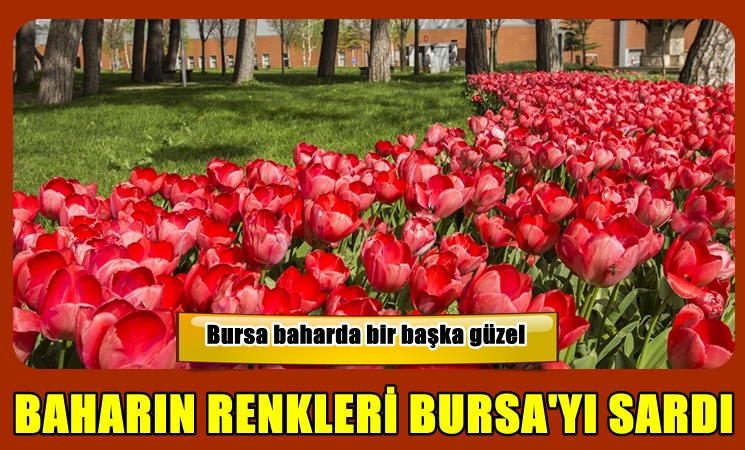 Baharın renkleri Bursa´yı sardı