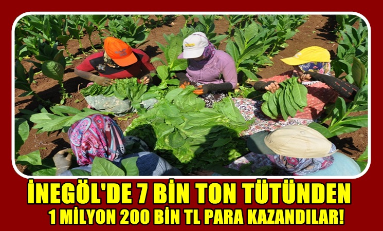 Çavuşköy