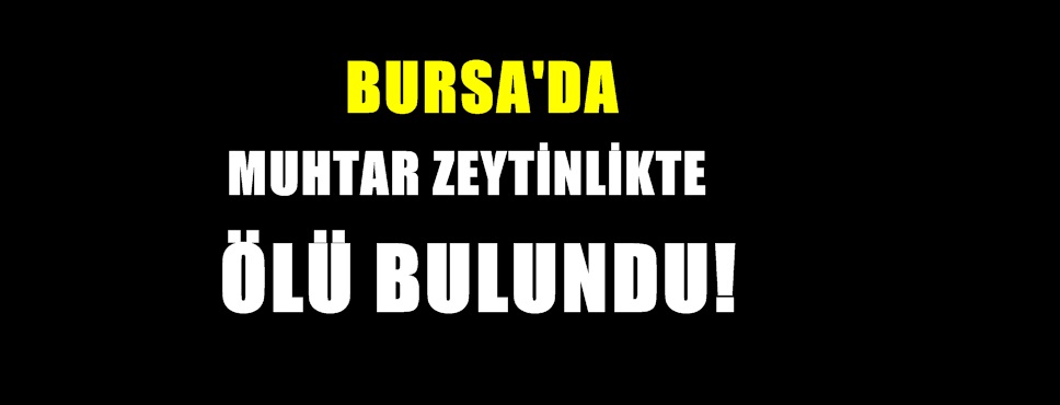 Eski Muhtar Zeytinlikte Ölü Bulundu