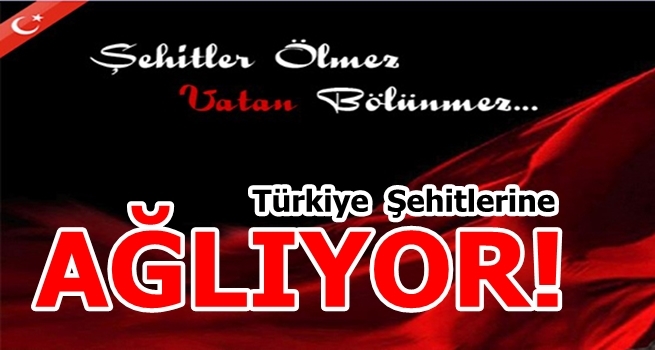 Türkiye Şehitlerine Ağlıyor