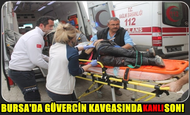 Bursa