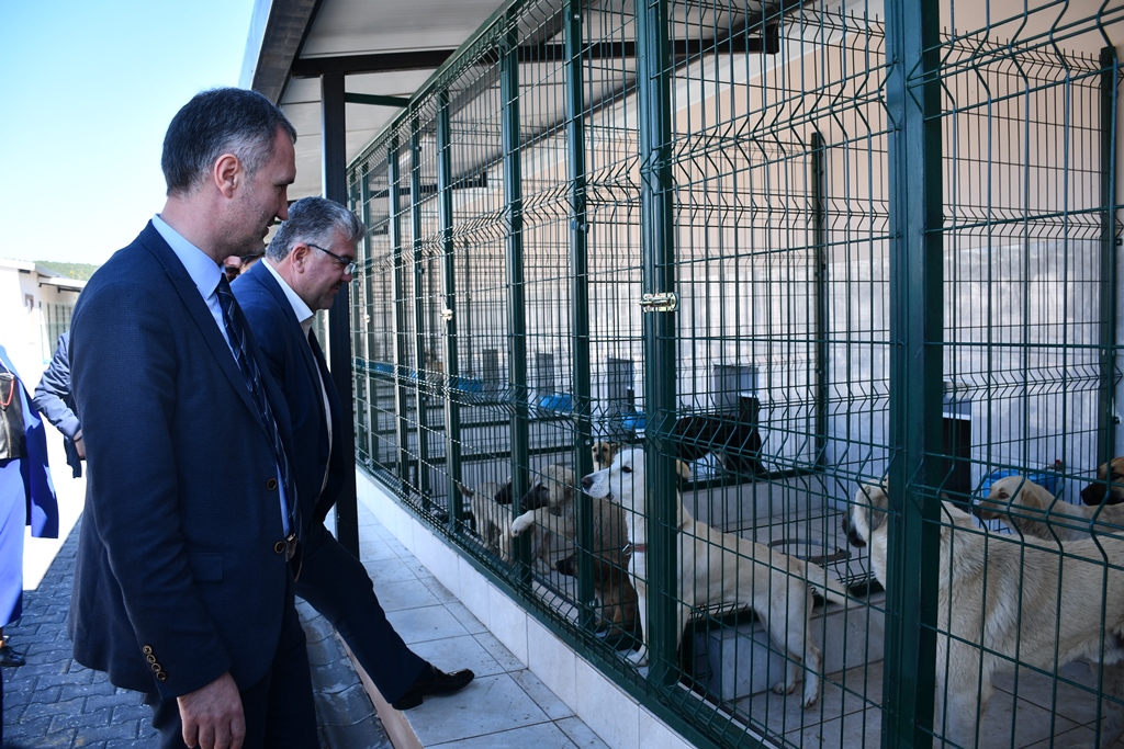 Yeni Hayvan Barınağı Açılış İçin Gün Sayıyor