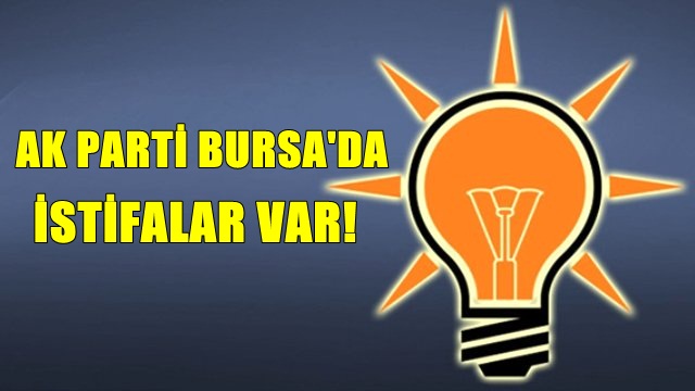 AK Parti Bursa