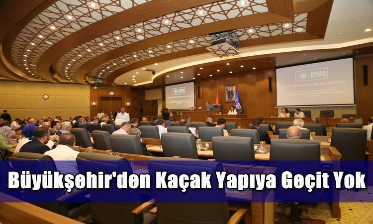 Büyükşehir