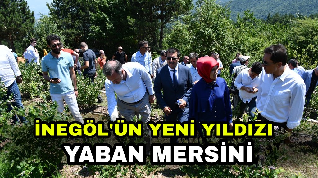 Yaban Mersini Festivali Gerçekleştirildi