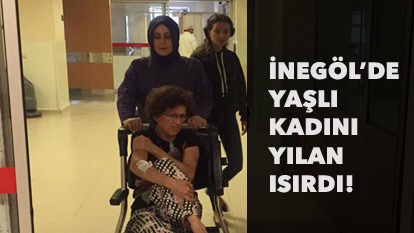 İnegöl’de yılan şoku!