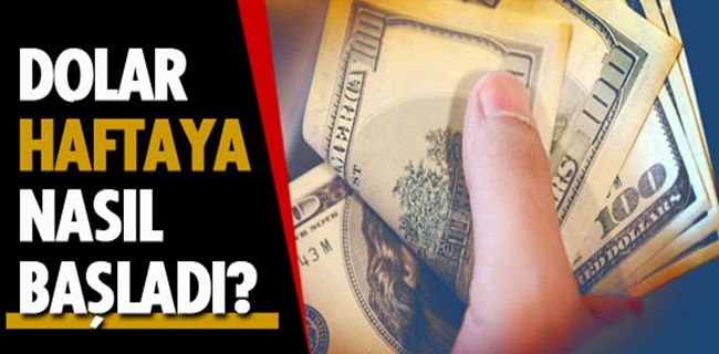 Dolar Yeni Haftaya Nasıl Başladı ?