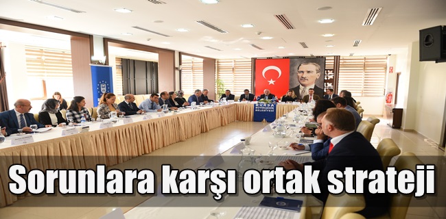 Sorunlara karşı ortak strateji