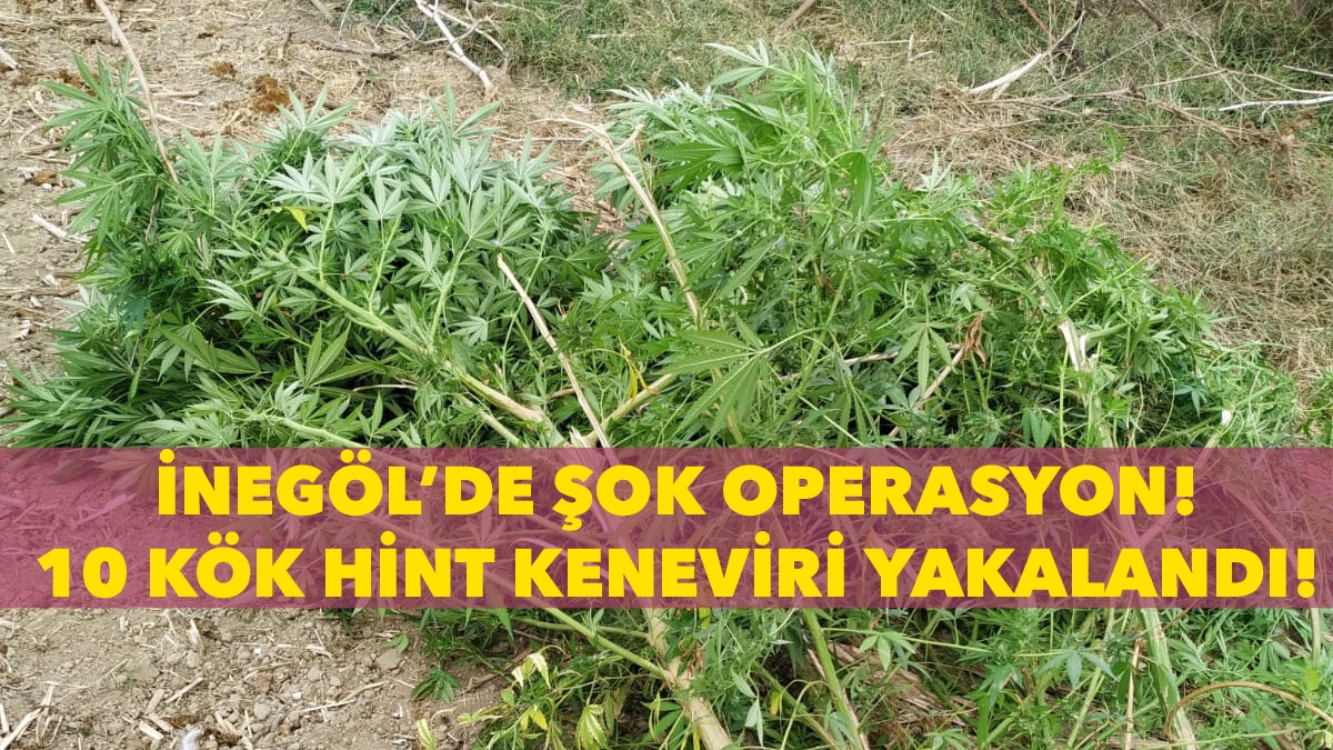 İnegöl’de şok operasyon!