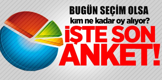 İşte Son Yapılan Anket Sonuçları