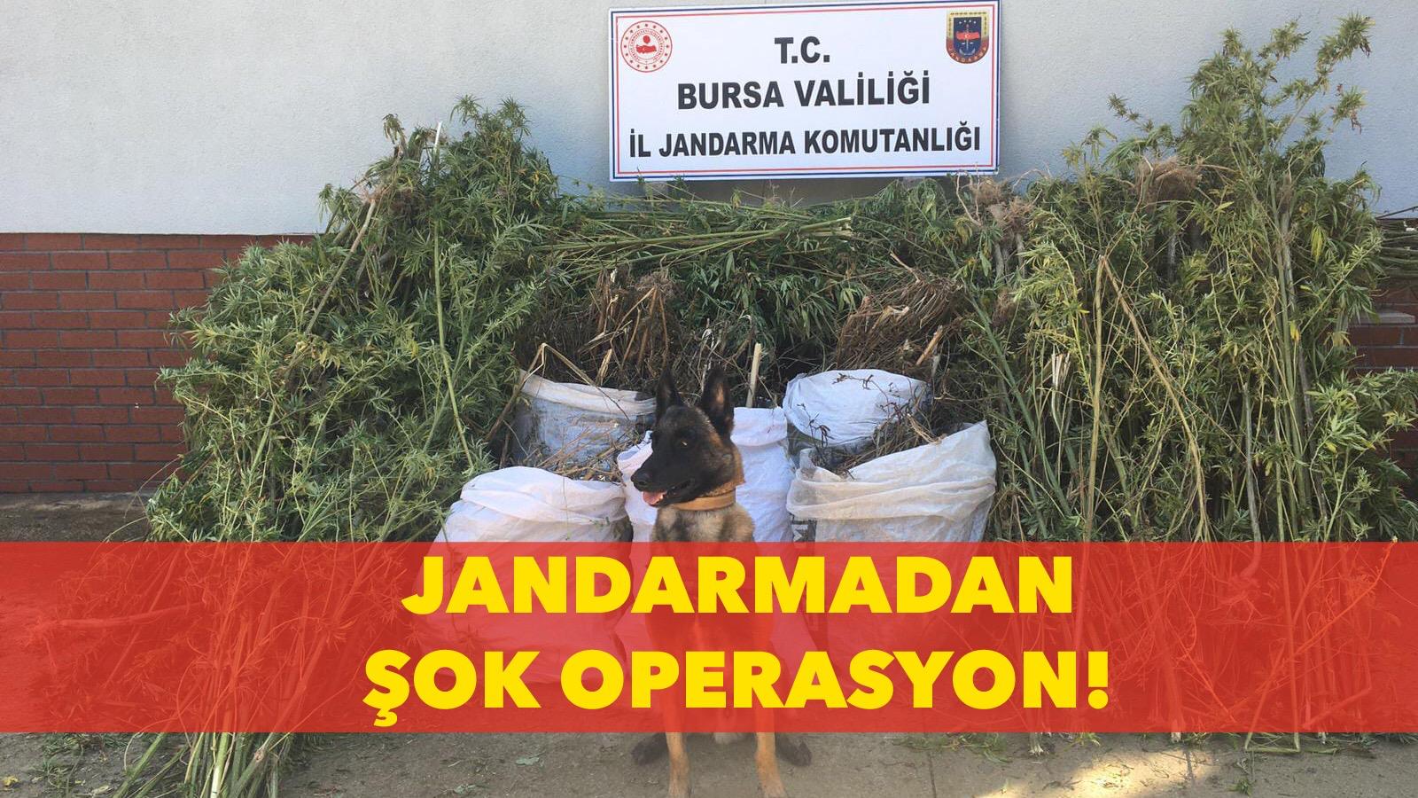 Uyuşturucu Tacirlerine Geçit Yok
