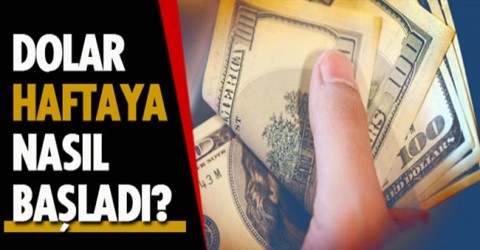 Dolar Yeni Haftaya Nasıl Başladı