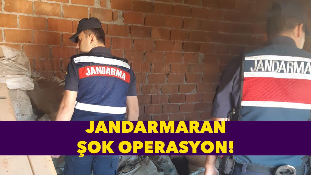 Jandarma