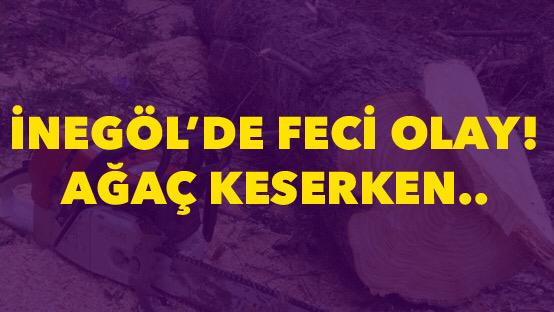 Kestiği ağacın altında kaldı
