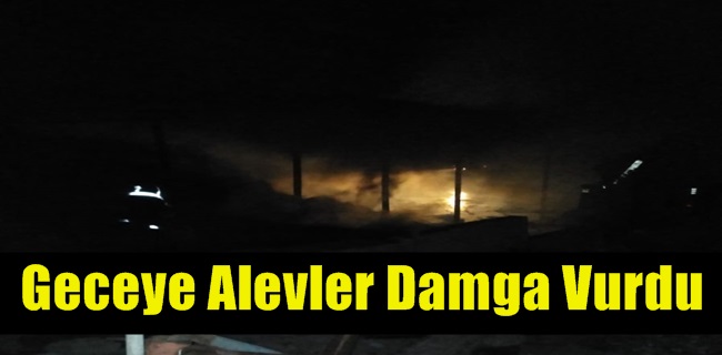 Samanlık Alevlere Teslim Oldu
