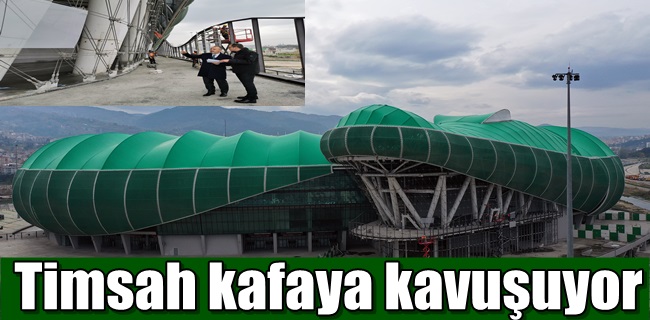 Timsah kafaya kavuşuyor