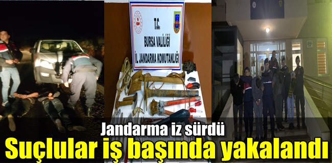 Jandarma İz Sürdü Şebeke Çökertildi
