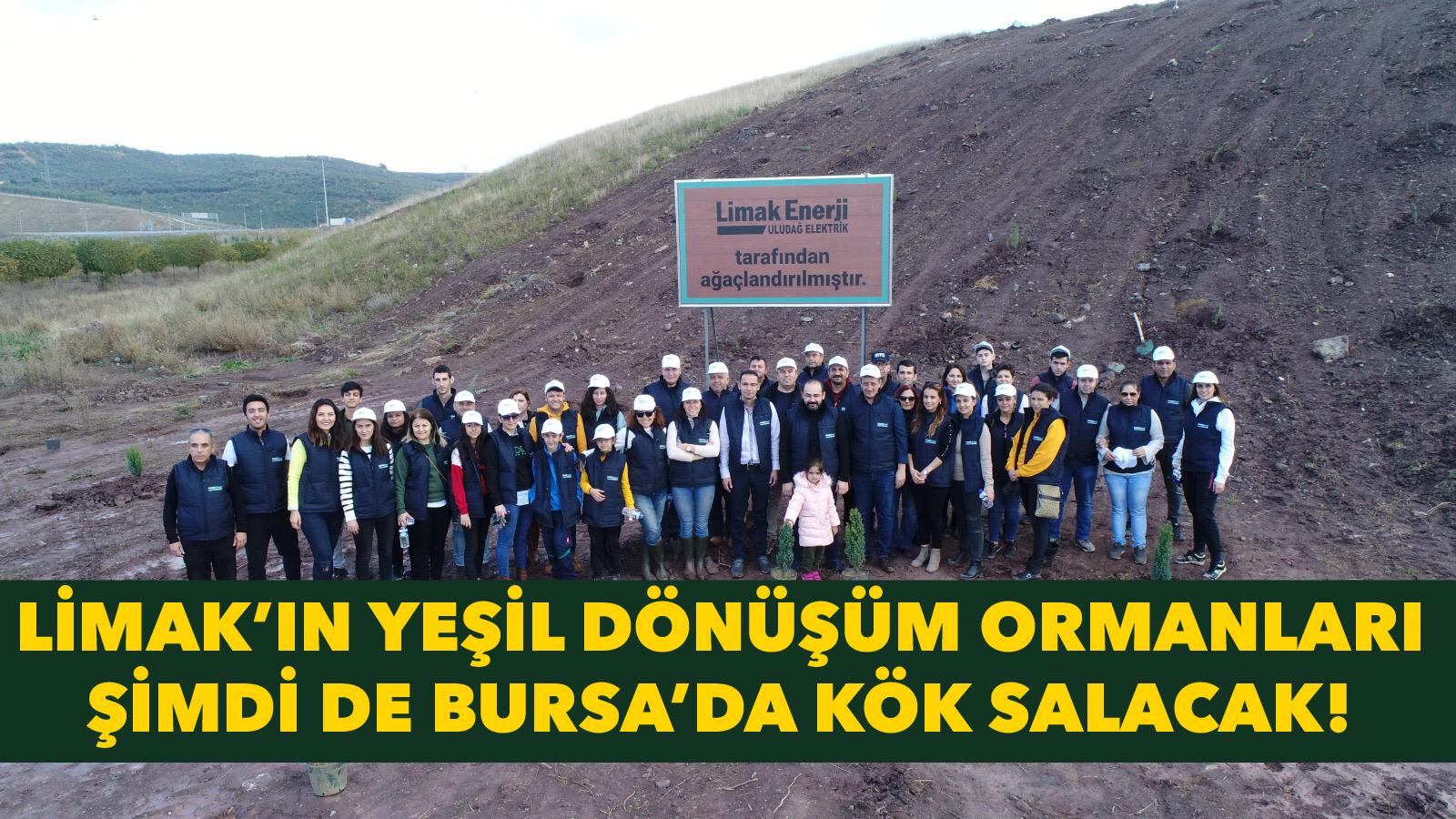 LİMAK’IN YEŞİL DÖNÜŞÜM ORMANLARI ŞİMDİ DE BURSA’DA KÖK SALACAK