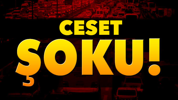 Ceset bulundu